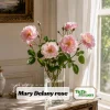 Mary Delany Rose Seeds - 30 Pack - Soft Pink Double Blooms - Fragrant English Shrub Rose - Image 1