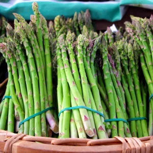 Mary Washington Asparagus Seeds – Heirloom Perennial Vegetable – 30 Seeds – Cold Hardy - Image 13