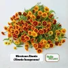 Mexican Zinnia Seeds - Zinnia haageana - Orange Yellow Bi Color Blooms - 30 Seeds - Image 1