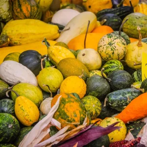 Mixed Gourd Seeds - Large & Small Decorative Gourds - 10 Seeds - Image 3