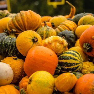 Mixed Gourd Seeds - Large & Small Decorative Gourds - 10 Seeds - Image 4