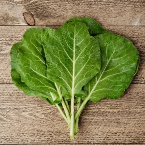 Morris Heading Kale Seeds - Brassica oleracea var. viridis - 20 Seed Pack - Image 10
