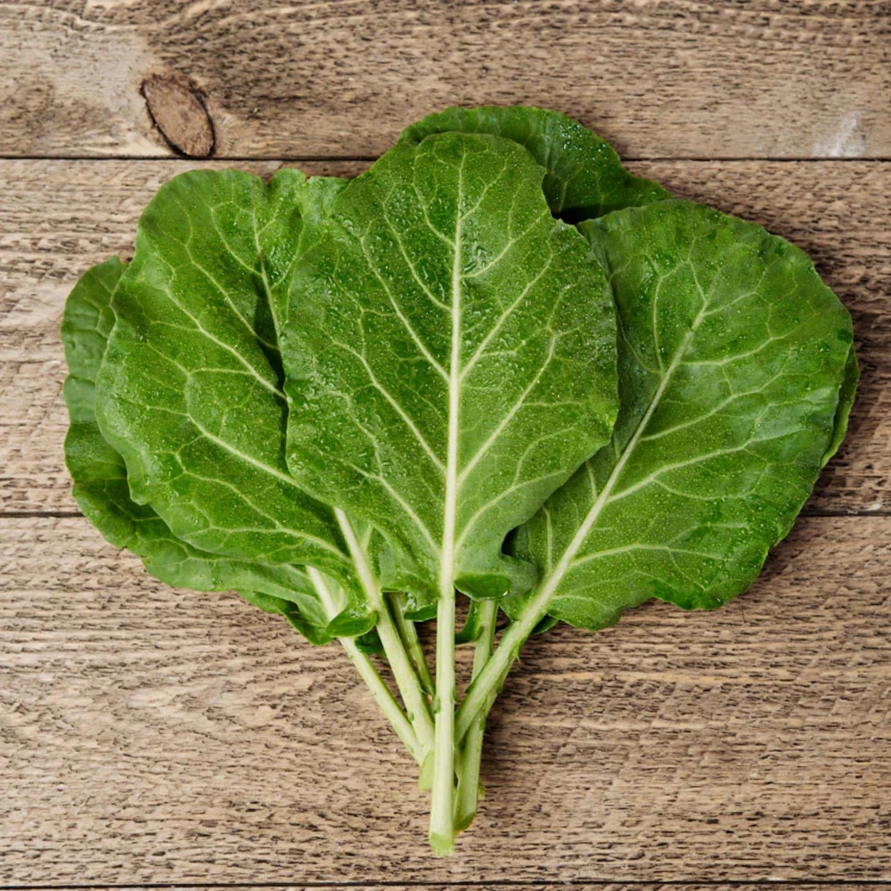 Morris Heading Kale Seeds - Brassica oleracea var. viridis - 20 Seed Pack - Image 10