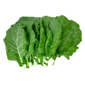 Morris Heading Kale Seeds - Brassica oleracea var. viridis - 20 Seed Pack - Image 5