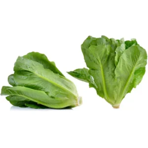 Parris Island Cos Romaine Lettuce Seeds - Heirloom, Non-GMO, 25 Seeds - Image 12