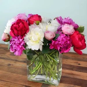 Peony Seeds - Paeonia Heirloom Open-Pollinated Flower Seeds - 10 Seeds - Image 3
