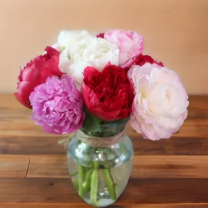 Peony Seeds - Paeonia Heirloom Open-Pollinated Flower Seeds - 10 Seeds - Image 4