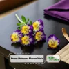 Picotee Viola Seeds - 25 Seeds - Cold Resistant Pansy Seeds - Self-Pollinating - Image 1