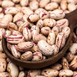 Pinto Bean Seeds - Heirloom Bush Variety - 15 Seeds - High Yield Garden Crop - Image 10
