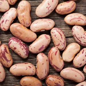 Pinto Bean Seeds - Heirloom Bush Variety - 15 Seeds - High Yield Garden Crop - Image 2