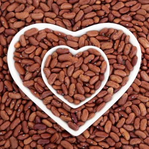 Pinto Bean Seeds - Heirloom Bush Variety - 15 Seeds - High Yield Garden Crop - Image 3