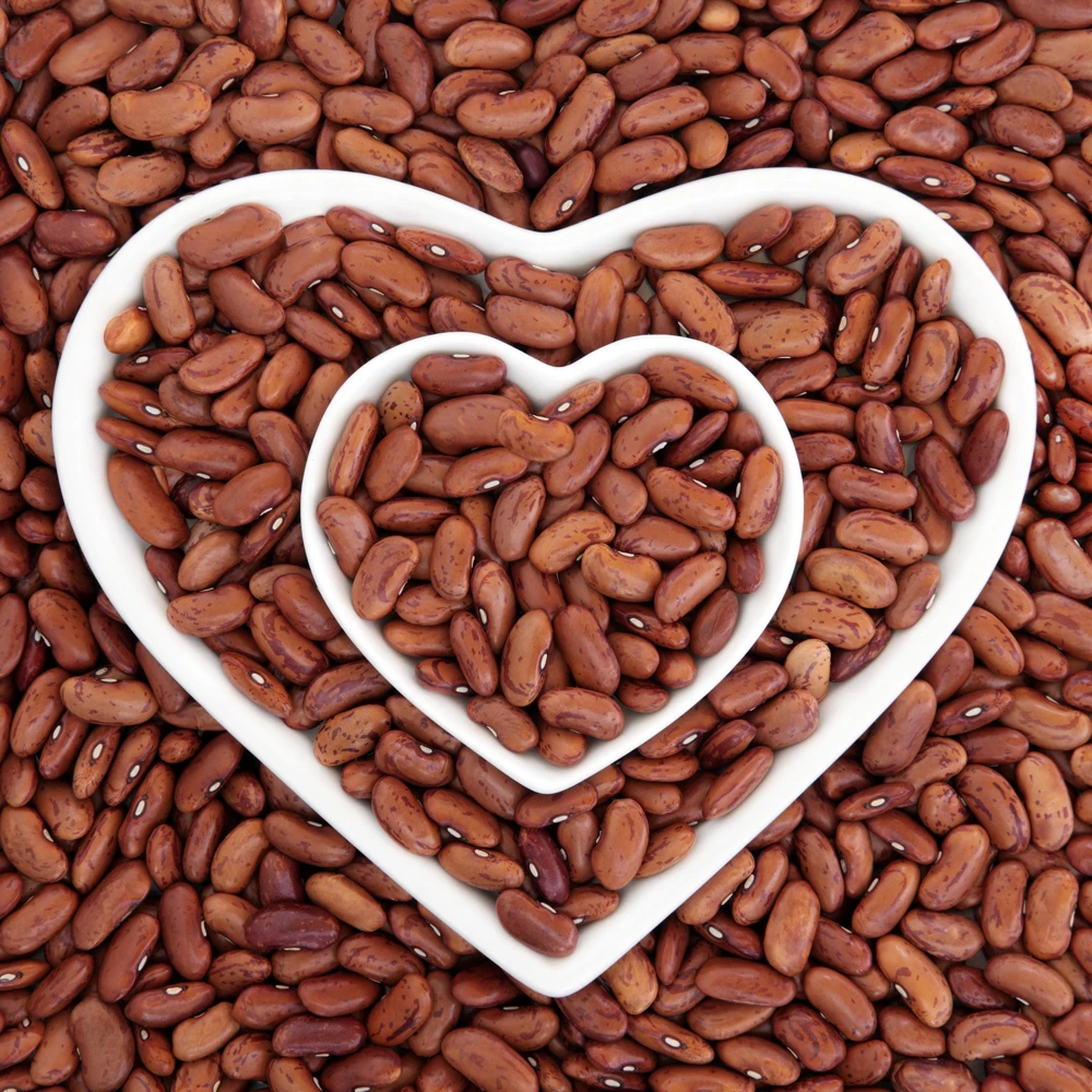 Pinto Bean Seeds - Heirloom Bush Variety - 15 Seeds - High Yield Garden Crop - Image 3