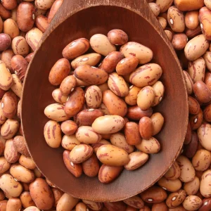 Pinto Bean Seeds - Heirloom Bush Variety - 15 Seeds - High Yield Garden Crop - Image 6