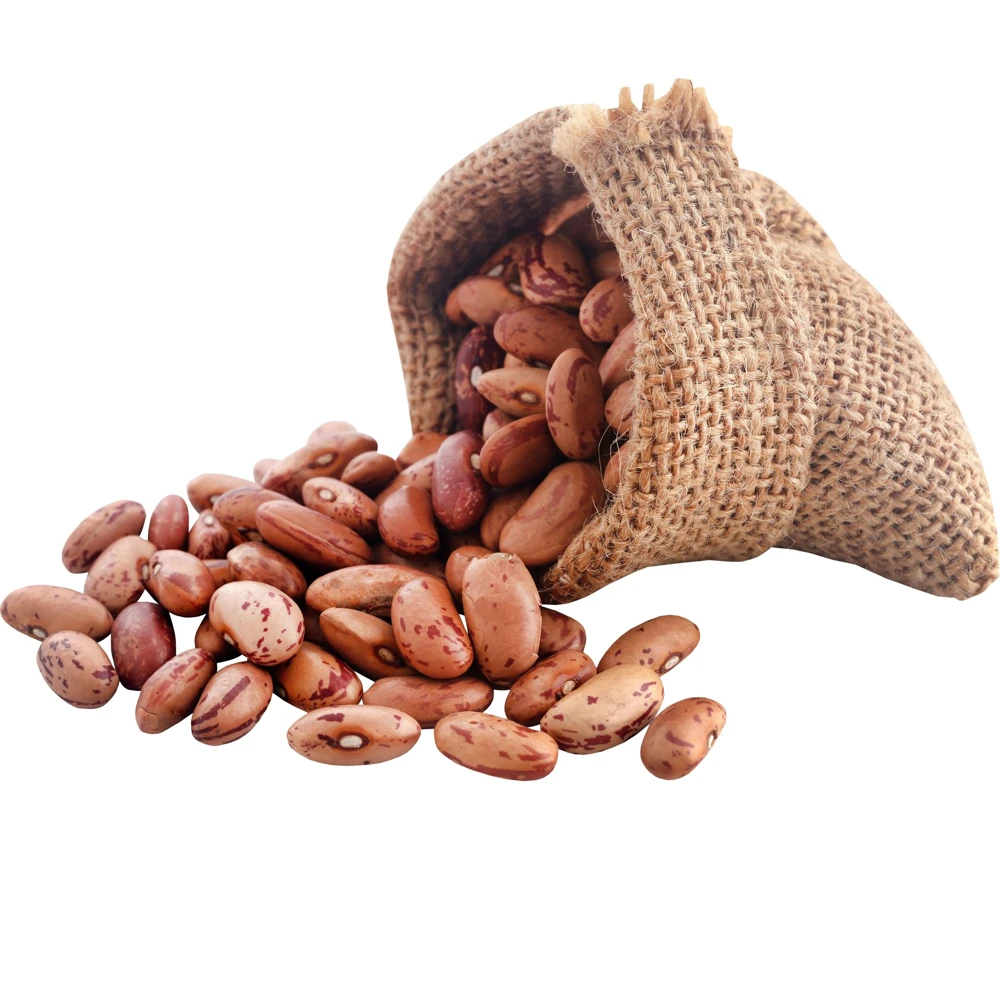 Pinto Bean Seeds - Heirloom Bush Variety - 15 Seeds - High Yield Garden Crop - Image 7