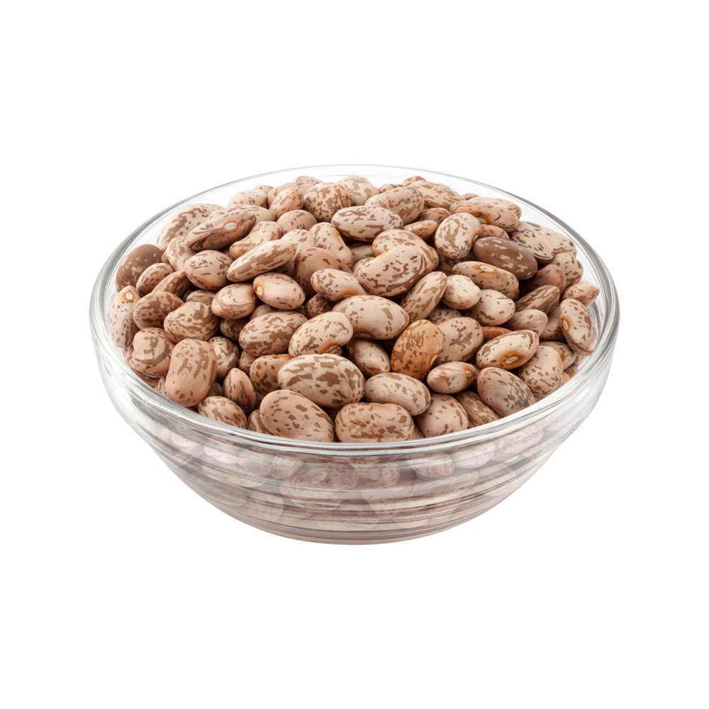 Pinto Bean Seeds - Heirloom Bush Variety - 15 Seeds - High Yield Garden Crop - Image 8