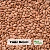 Pinto Bean Seeds - Heirloom Bush Variety - 15 Seeds - High Yield Garden Crop - Image 1