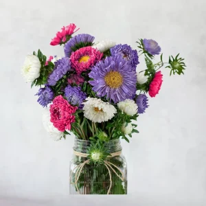 Powderpuff Mix Aster Seeds - Callistephus Chinensis - Flower Seeds - 20 Count - Image 16