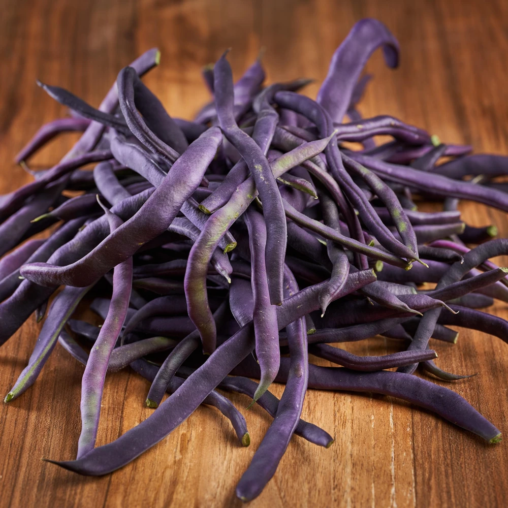 Purple French Filet Pole Bean Seeds - Heirloom, High Yield, 20 Seeds - Image 4