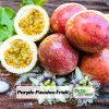 Purple Passion Fruit Seeds – Passiflora edulis – 25 Seeds – Sweet Tropical Vine - Image 1
