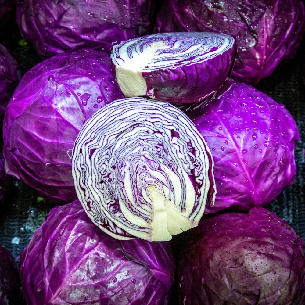 Red Acre Cabbage Seeds - 20 Pack - Heirloom Purple Vegetable for Home Garden - Image 4