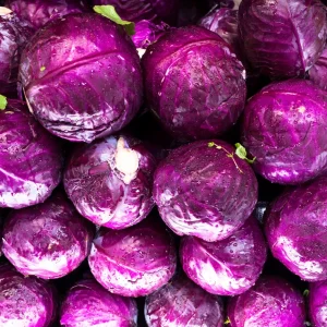 Red Acre Cabbage Seeds - 20 Pack - Heirloom Purple Vegetable for Home Garden - Image 6