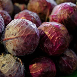 Red Acre Cabbage Seeds - 20 Pack - Heirloom Purple Vegetable for Home Garden - Image 8