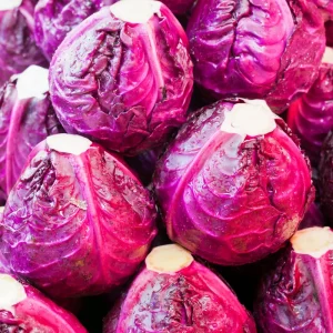 Red Acre Cabbage Seeds - 20 Pack - Heirloom Purple Vegetable for Home Garden - Image 9