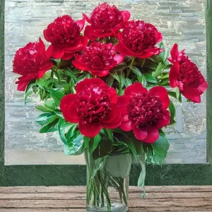 Red Charm Peony Seeds - Perennial Paeonia - 10 Seeds - Attract Butterflies - Image 17