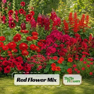 Red Flower Mix Seeds - 20 Seeds - Vibrant Annual & Perennial Garden Blooms - Full Sun to Partial Shade - Image 1