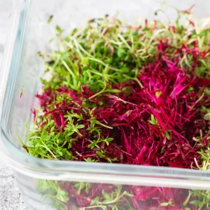 Red Garnet Amaranth Microgreen Seeds - Edible, Fast Growing, 30 Seeds - Image 7