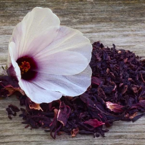 Red Roselle Seeds - Jamaican Sorrel - Edible, Flowering, Fast Growing - 10 Seeds - Image 5