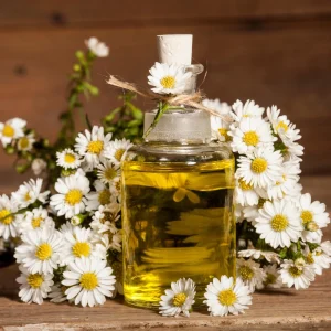 Roman Chamomile Seeds - Perennial Herb Seeds - 30 Seeds - Non GMO - Image 10