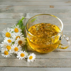 Roman Chamomile Seeds - Perennial Herb Seeds - 30 Seeds - Non GMO - Image 12