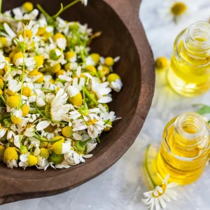 Roman Chamomile Seeds - Perennial Herb Seeds - 30 Seeds - Non GMO - Image 9