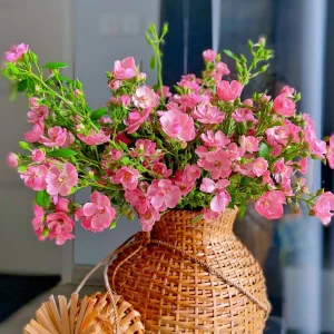 Rose Flower Seeds - Perennial Blooming Garden Roses - Non-GMO Flower Seeds - Image 11