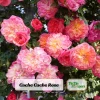 Rose Seeds Mix - Fragrant Flower Seeds for Planting - 30 Seed Pack - Image 1