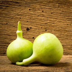 Round Bottle Gourd Seeds - Lagenaria Siceraria - 10 Edible Seeds - Image 10