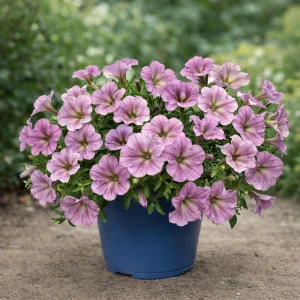 Silver Vein Trailing Petunia Seeds - Heirloom Cascading Petunia - 20 Seeds - Image 2