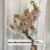 Snapdragon Seeds - Cold Resistant Cut Flowers - 30 Seeds - Attracts Pollinators - Image 1