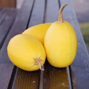 Spaghetti Winter Squash Seeds - Heirloom Non-GMO Vegetable, 25 Seeds - Image 10