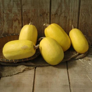 Spaghetti Winter Squash Seeds - Heirloom Non-GMO Vegetable, 25 Seeds - Image 12
