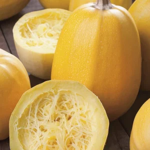 Spaghetti Winter Squash Seeds - Heirloom Non-GMO Vegetable, 25 Seeds - Image 4