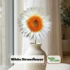 Strawflower Seeds - White Golden Everlasting Flower Seeds - Perennial, Non-GMO, 100 Seeds - Image 1