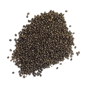 Summer Savory Seeds - Satureja hortensis - Culinary Herb - 20 Seeds - Image 3