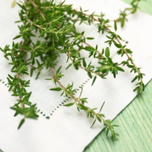 Summer Savory Seeds - Satureja hortensis - Culinary Herb - 20 Seeds - Image 4
