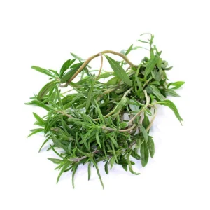 Summer Savory Seeds - Satureja hortensis - Culinary Herb - 20 Seeds - Image 7