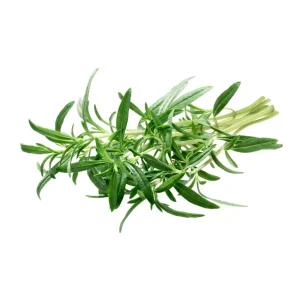 Summer Savory Seeds - Satureja hortensis - Culinary Herb - 20 Seeds - Image 9