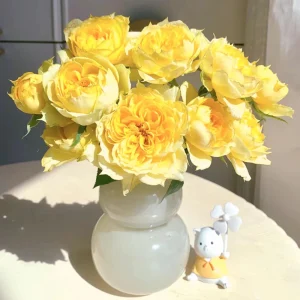 Sunny Antike Rose Seeds - 30 Seeds - Warm Golden Yellow Blooms - Fragrant Garden Rose - Image 3