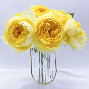 Sunny Antike Rose Seeds - 30 Seeds - Warm Golden Yellow Blooms - Fragrant Garden Rose - Image 4