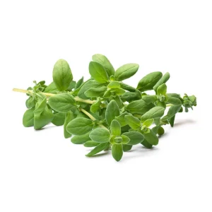 Sweet Marjoram Seeds - Origanum majorana - Culinary Herb - 20 Seed Pack - Image 7